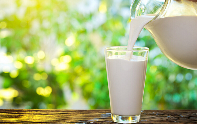东莞食堂承包建议多喝牛奶对身体有益