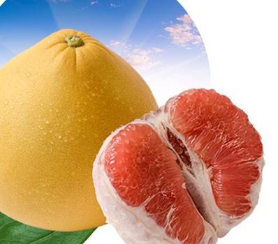 赣州饭堂承包教你吃不完的柚子应该如何保存